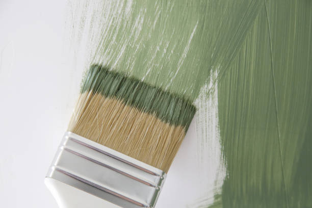 Best Basement Mold Removal  in Stockbridge, GA